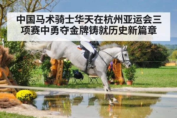equestrian cross country jumping